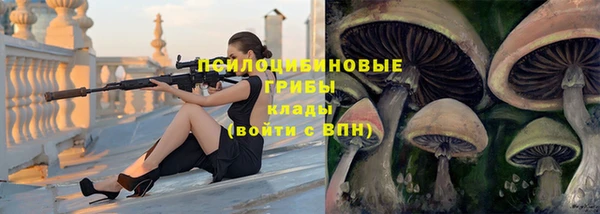 марки nbome Белокуриха